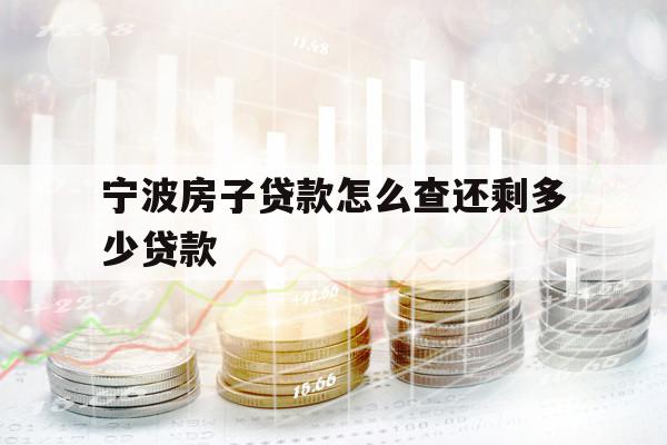 宁波房子贷款怎么查还剩多少贷款