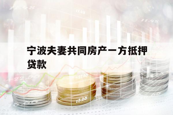 宁波夫妻共同房产一方抵押贷款