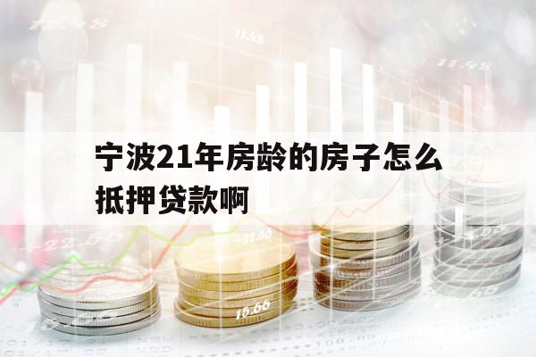宁波21年房龄的房子怎么抵押贷款啊