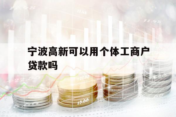 宁波高新可以用个体工商户贷款吗