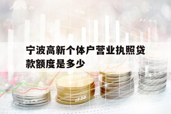 宁波高新个体户营业执照贷款额度是多少
