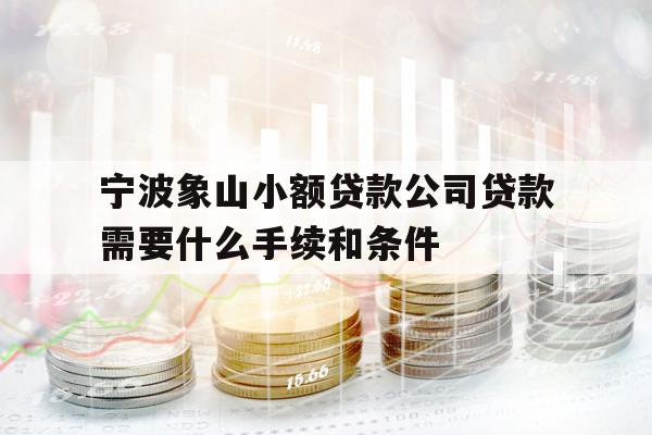 宁波象山小额贷款公司贷款需要什么手续和条件