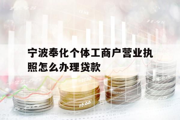 宁波奉化个体工商户营业执照怎么办理贷款