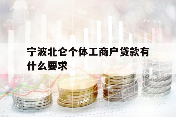 宁波北仑个体工商户贷款有什么要求