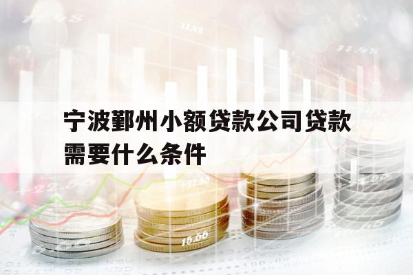 宁波鄞州小额贷款公司贷款需要什么条件