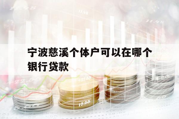宁波慈溪个体户可以在哪个银行贷款