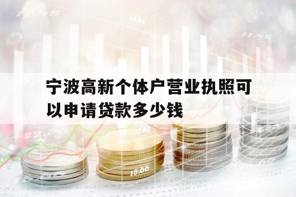 宁波高新个体户营业执照可以申请贷款多少钱