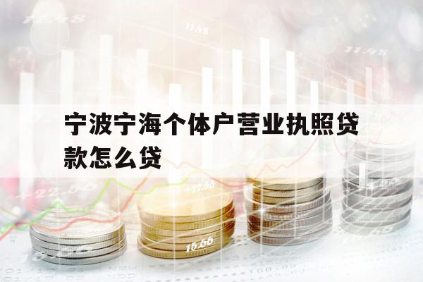 宁波宁海个体户营业执照贷款怎么贷
