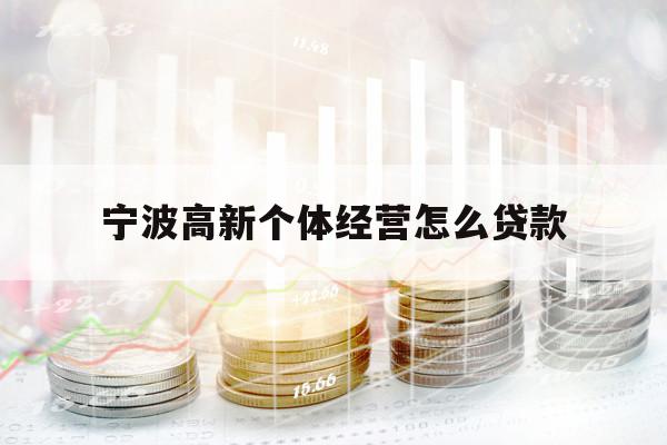 宁波高新个体经营怎么贷款
