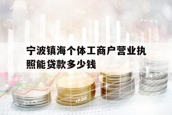 宁波镇海个体工商户营业执照能贷款多少钱