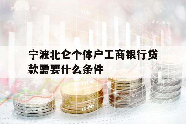 宁波北仑个体户工商银行贷款需要什么条件
