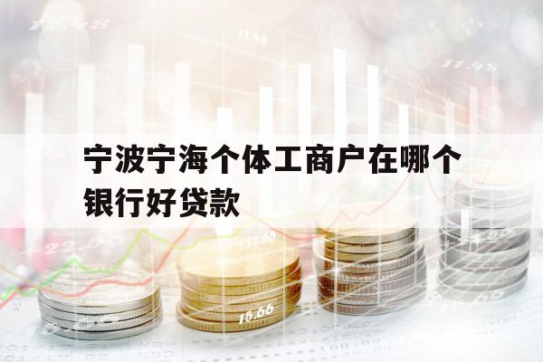 宁波宁海个体工商户在哪个银行好贷款