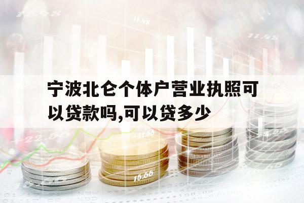 宁波北仑个体户营业执照可以贷款吗,可以贷多少