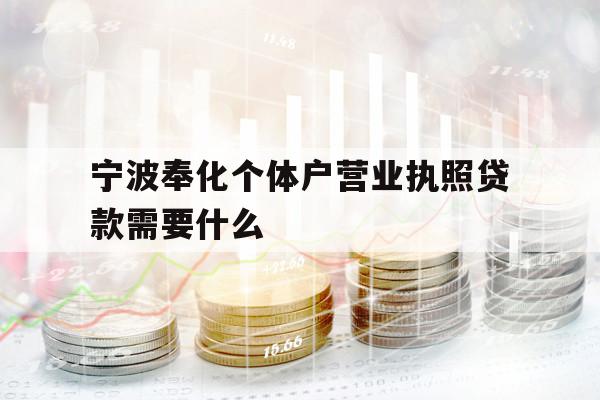 宁波奉化个体户营业执照贷款需要什么