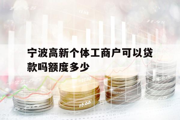宁波高新个体工商户可以贷款吗额度多少