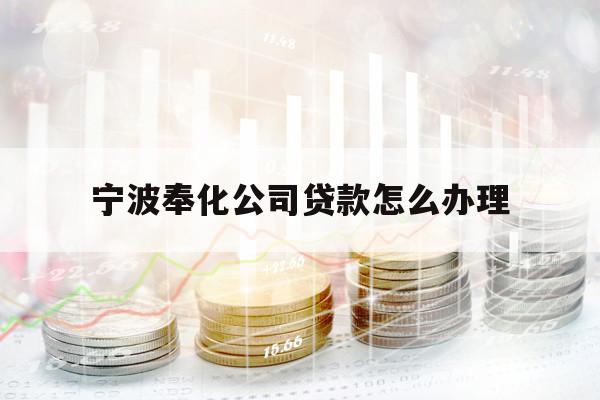 宁波奉化公司贷款怎么办理