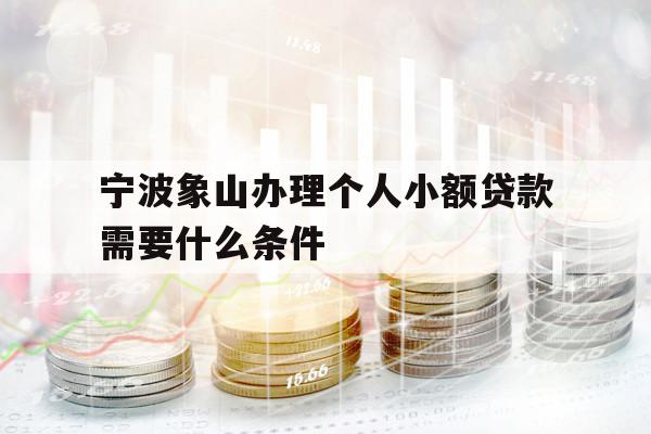 宁波象山办理个人小额贷款需要什么条件