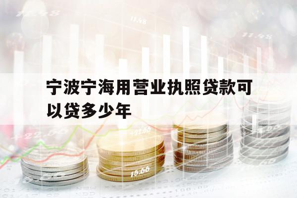宁波宁海用营业执照贷款可以贷多少年
