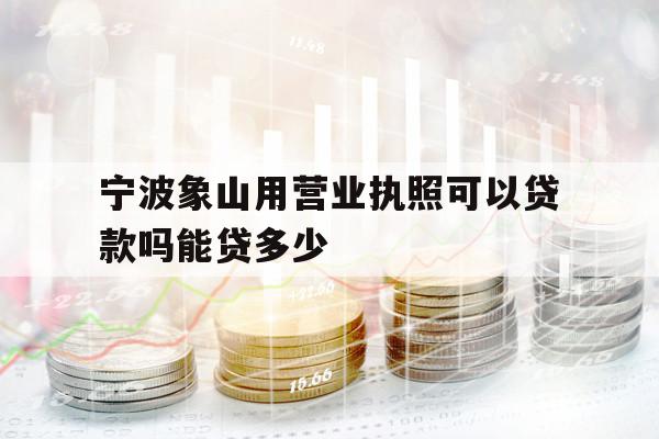 宁波象山用营业执照可以贷款吗能贷多少