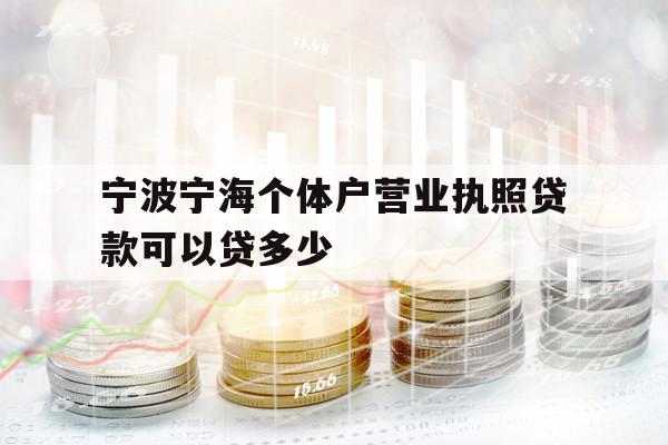 宁波宁海个体户营业执照贷款可以贷多少