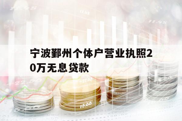 宁波鄞州个体户营业执照20万无息贷款