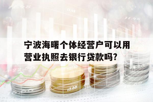 宁波海曙个体经营户可以用营业执照去银行贷款吗?