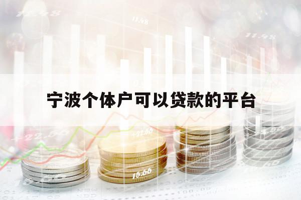 宁波个体户可以贷款的平台