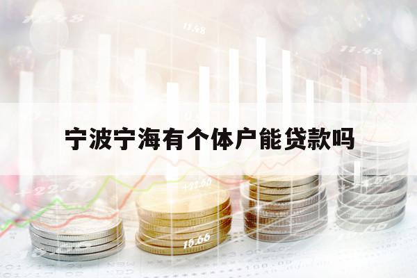 宁波宁海有个体户能贷款吗