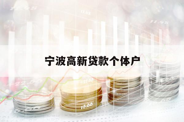 宁波高新贷款个体户