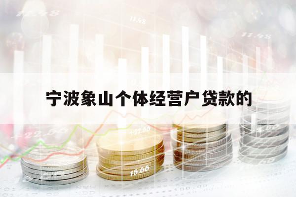 宁波象山个体经营户贷款的