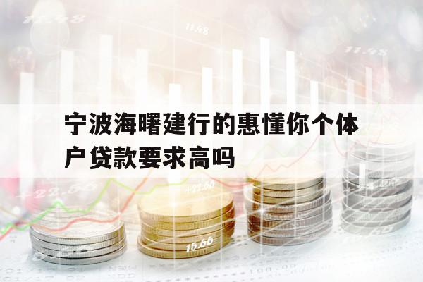 宁波海曙建行的惠懂你个体户贷款要求高吗