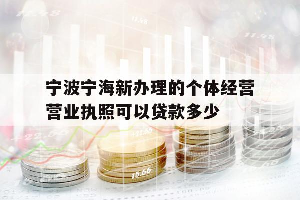 宁波宁海新办理的个体经营营业执照可以贷款多少