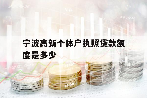 宁波高新个体户执照贷款额度是多少