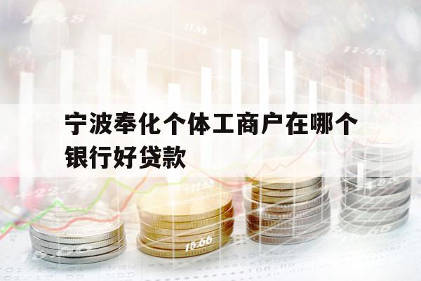 宁波奉化个体工商户在哪个银行好贷款
