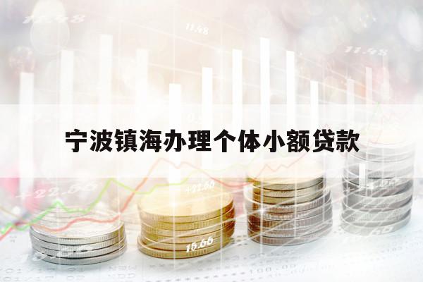 宁波镇海办理个体小额贷款