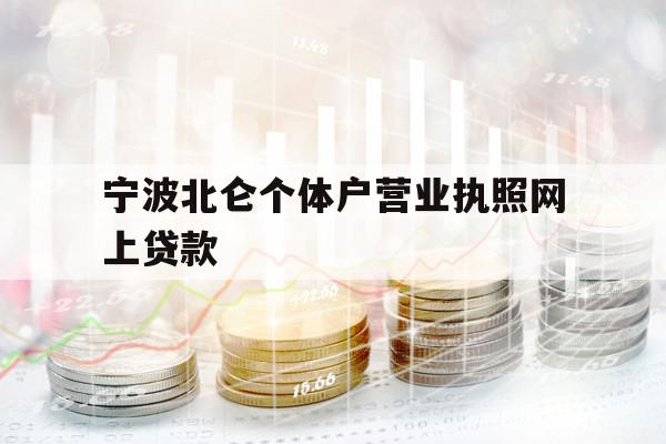 宁波北仑个体户营业执照网上贷款