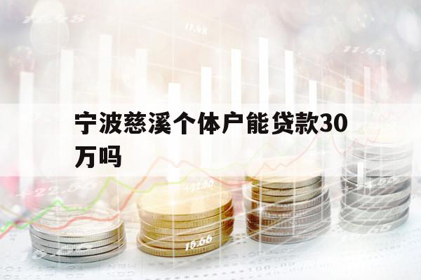 宁波慈溪个体户能贷款30万吗
