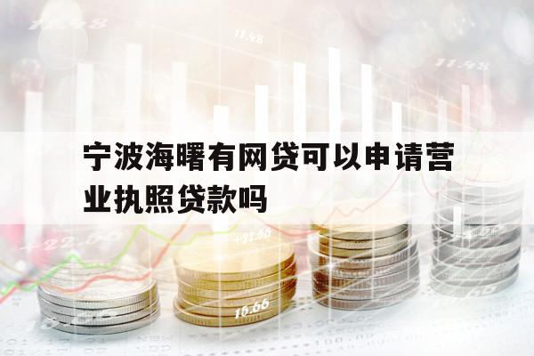宁波海曙有网贷可以申请营业执照贷款吗