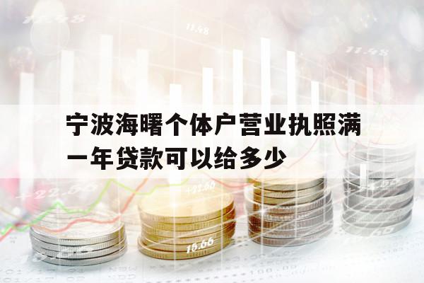 宁波海曙个体户营业执照满一年贷款可以给多少