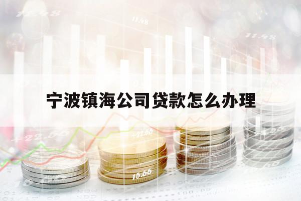 宁波镇海公司贷款怎么办理