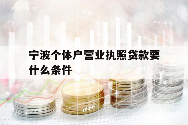 宁波个体户营业执照贷款要什么条件