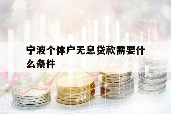 宁波个体户无息贷款需要什么条件