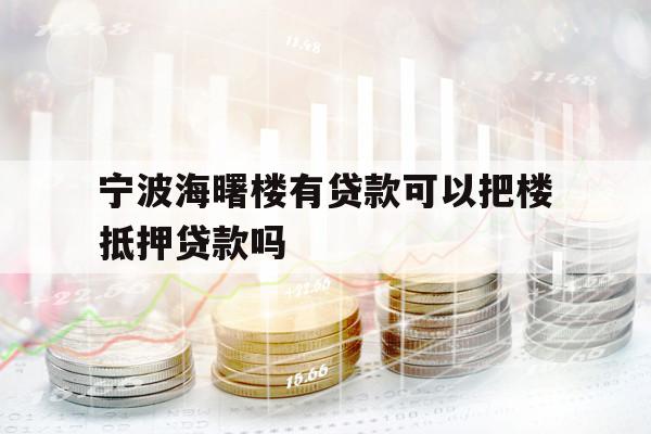 宁波海曙楼有贷款可以把楼抵押贷款吗