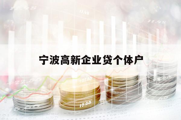 宁波高新企业贷个体户
