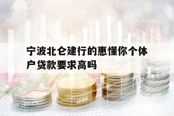 宁波北仑建行的惠懂你个体户贷款要求高吗