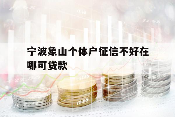 宁波象山个体户征信不好在哪可贷款