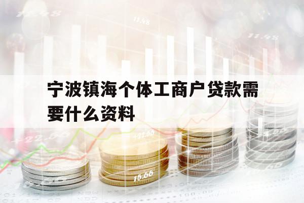 宁波镇海个体工商户贷款需要什么资料