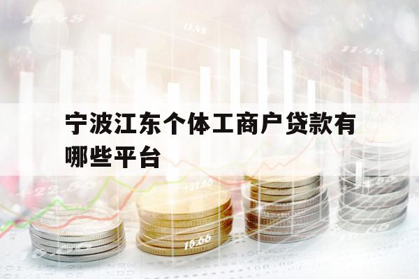 宁波江东个体工商户贷款有哪些平台