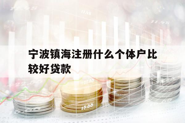 宁波镇海注册什么个体户比较好贷款