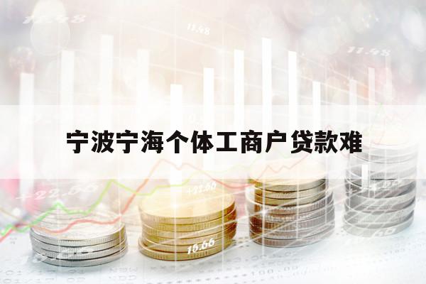 宁波宁海个体工商户贷款难